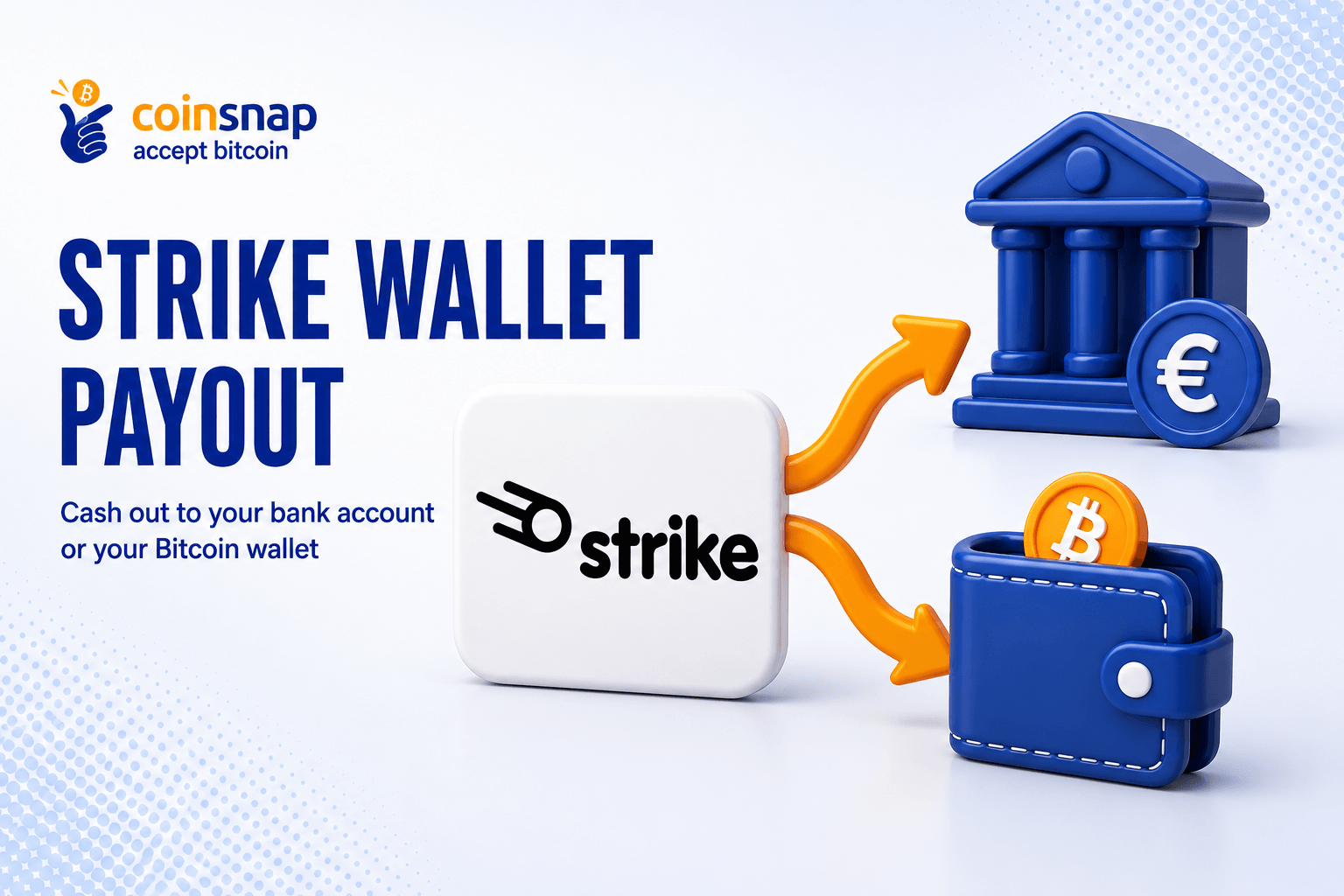 Strike Wallet Payout to your own bank account or Bitcoin Wallet