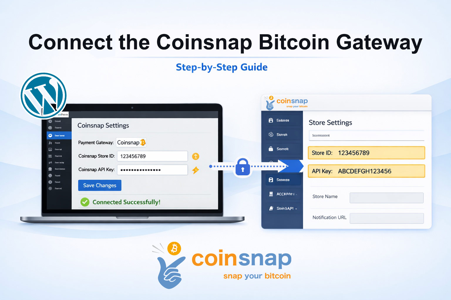 How to connect your Coinsnap plugin with your Coinsnap account